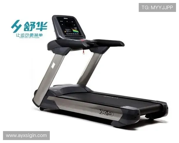 思茅舒华健身器材品牌及体育器械市场发展状况